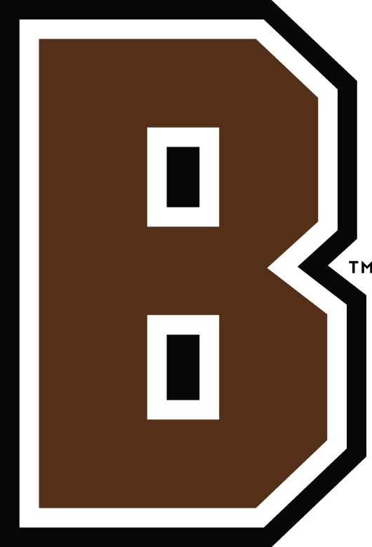 Brown Bears 2003-Pres Alternate Logo v2 diy iron on heat transfer